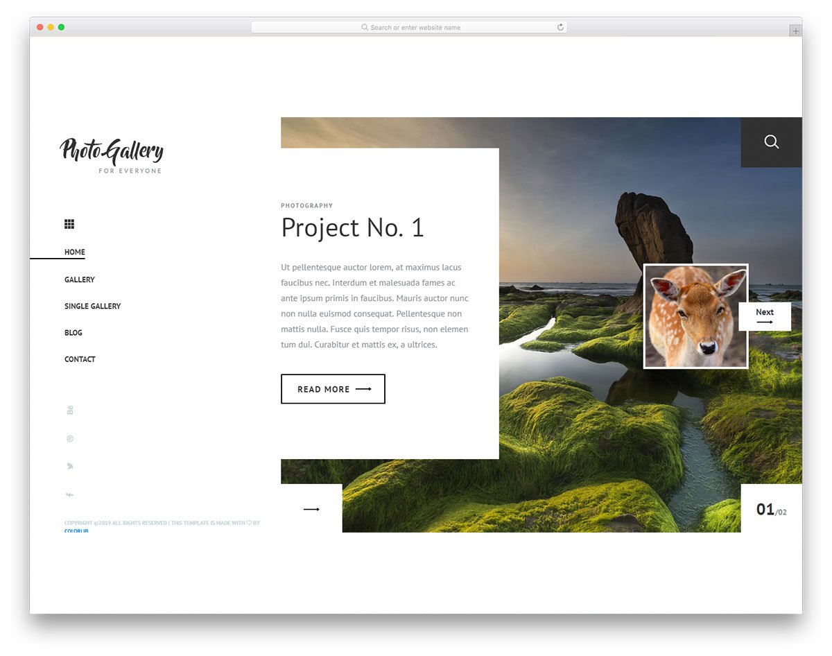 website template PhotoGallery   shopifashion